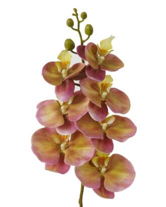 Artificial Flower 18*95cm Phalaenopsis *7 single stem GS-64923004-Z2 Single Flowers YeahFlower is one of Chinese leading OEM manufacturers and exporters , supplying the silk flowers, wholesale artificial trees