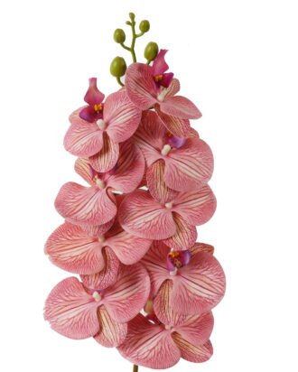 Artificial Flower 20*94cm Phalaenopsis *9 single stem GS-64923005-R1 Single Flowers YeahFlower is one of Chinese leading OEM manufacturers and exporters , supplying the silk flowers, wholesale artificial trees