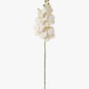 Artificial Flower Phalaenopsis 9 single stem GS-64923005-W3 Artificial Flower 20*94cm Phalaenopsis *9 single stem GS-64923005-W3 Single Flowers YeahFlower is one of Chinese leading OEM manufacturers and exporters , supplying the silk flowers, wholesale artificial trees