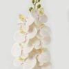 Artificial Flower Phalaenopsis 9 single stem GS-64923005-W3_1 Artificial Flower 20*94cm Phalaenopsis *9 single stem GS-64923005-W3 Single Flowers YeahFlower is one of Chinese leading OEM manufacturers and exporters , supplying the silk flowers, wholesale artificial trees