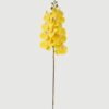 Artificial Flower Phalaenopsis 9 single stem GS-64923005-Y1 Artificial Flower 20*94cm Phalaenopsis *9 single stem GS-64923005-Y1 Single Flowers YeahFlower is one of Chinese leading OEM manufacturers and exporters , supplying the silk flowers, wholesale artificial trees