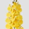Artificial Flower Phalaenopsis 9 single stem GS-64923005-Y1_1 Artificial Flower 20*94cm Phalaenopsis *9 single stem GS-64923005-Y1 Single Flowers YeahFlower is one of Chinese leading OEM manufacturers and exporters , supplying the silk flowers, wholesale artificial trees