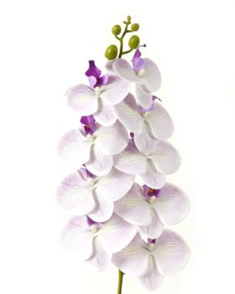 Artificial Flower 20*94cm Phalaenopsis *9 single stem GS-64923005-Z2 Single Flowers YeahFlower is one of Chinese leading OEM manufacturers and exporters , supplying the silk flowers, wholesale artificial trees Artificial Flower 20*94cm Phalaenopsis *9 single stem GS-64923005-Z2 Single Flowers YeahFlower is one of Chinese leading OEM manufacturers and exporters , supplying the silk flowers, wholesale artificial trees