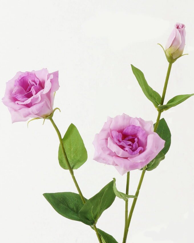 Artificial Flower Platycodon 3 moist real touch single stem GS-46123003-Z2_6 Artificial Flower 20*20*72cm Platycodon *3 moist real touch single stem GS-46123003-Z2 Single Flowers YeahFlower is one of Chinese leading OEM manufacturers and exporters , supplying the silk flowers, wholesale artificial trees