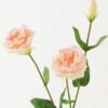 Artificial Flower Platycodon 3 moist real touch single stem GS-46123003_2 Artificial Flower 20*20*72cm Platycodon *3 moist real touch single stem GS-46123003 Single Flowers YeahFlower is one of Chinese leading OEM manufacturers and exporters , supplying the silk flowers, wholesale artificial trees