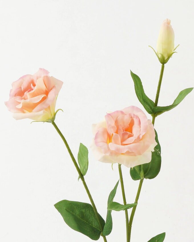 Artificial Flower Platycodon 3 moist real touch single stem GS-46123003_2 Artificial Flower 20*20*72cm Platycodon *3 moist real touch single stem GS-46123003 Single Flowers YeahFlower is one of Chinese leading OEM manufacturers and exporters , supplying the silk flowers, wholesale artificial trees