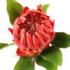 Artificial Flower 22*22*63cm Protea cynaroides single stem GS-27923003-P1 Single Flowers YeahFlower is one of Chinese leading OEM manufacturers and exporters , supplying the silk flowers, wholesale artificial trees