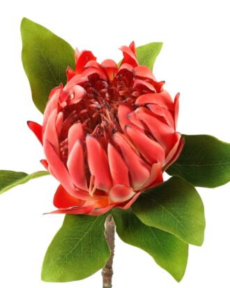Artificial Flower 22*22*63cm Protea cynaroides single stem GS-27923003-P1 Single Flowers YeahFlower is one of Chinese leading OEM manufacturers and exporters , supplying the silk flowers, wholesale artificial trees