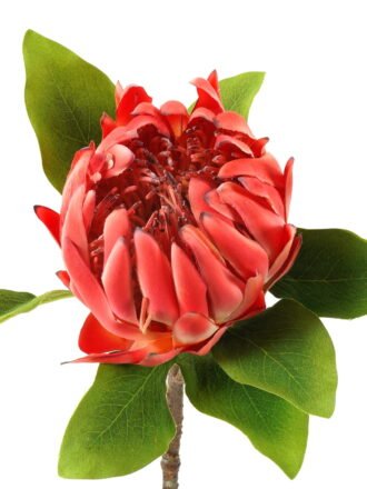 Artificial Flower 22*22*63cm Protea cynaroides single stem GS-27923003 Single Flowers 3,000+ sqm showroom with thousands of artificial flowers, plants & trees ready for global sourcing.