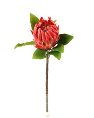 Artificial Flower 22*22*63cm Protea cynaroides single stem GS-27923003-P1 Single Flowers YeahFlower is one of Chinese leading OEM manufacturers and exporters , supplying the silk flowers, wholesale artificial trees