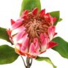 Artificial Flower Protea cynaroides single stem GS-27923003-P2_1 Artificial Flower 22*22*63cm Protea cynaroides single stem GS-27923003-P2 Single Flowers YeahFlower is one of Chinese leading OEM manufacturers and exporters , supplying the silk flowers, wholesale artificial trees