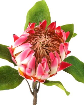 Artificial Flower 22*22*63cm Protea cynaroides single stem GS-27923003-P2 Single Flowers YeahFlower is one of Chinese leading OEM manufacturers and exporters , supplying the silk flowers, wholesale artificial trees