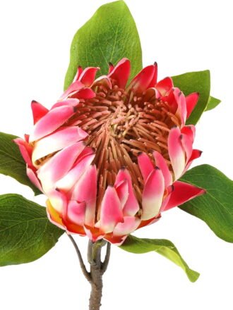 Artificial Flower 22*22*63cm Protea cynaroides single stem GS-27923003-P1 Single Flowers 3,000+ sqm showroom with thousands of artificial flowers, plants & trees ready for global sourcing.