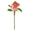 Artificial Flower Protea cynaroides single stem GS-27923003-P2_4 Artificial Flower 22*22*63cm Protea cynaroides single stem GS-27923003-P2 Single Flowers YeahFlower is one of Chinese leading OEM manufacturers and exporters , supplying the silk flowers, wholesale artificial trees