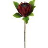 Artificial Flower 22*22*63cm Protea cynaroides single stem GS-27923003-R1 Single Flowers YeahFlower is one of Chinese leading OEM manufacturers and exporters , supplying the silk flowers, wholesale artificial trees