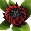 Artificial Flower 22*22*63cm Protea cynaroides single stem GS-27923003-R1 Single Flowers YeahFlower is one of Chinese leading OEM manufacturers and exporters , supplying the silk flowers, wholesale artificial trees
