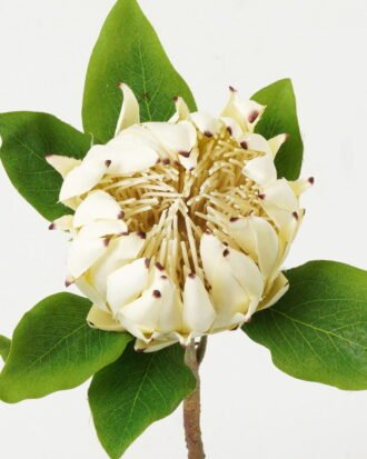 Artificial Flower 22*22*63cm Protea cynaroides single stem GS-27923003-W1 Single Flowers YeahFlower is one of Chinese leading OEM manufacturers and exporters , supplying the silk flowers, wholesale artificial trees