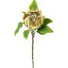 Artificial Flower Protea cynaroides single stem GS-27923003_3 Artificial Flower 22*22*63cm Protea cynaroides single stem GS-27923003 Single Flowers YeahFlower is one of Chinese leading OEM manufacturers and exporters , supplying the silk flowers, wholesale artificial trees