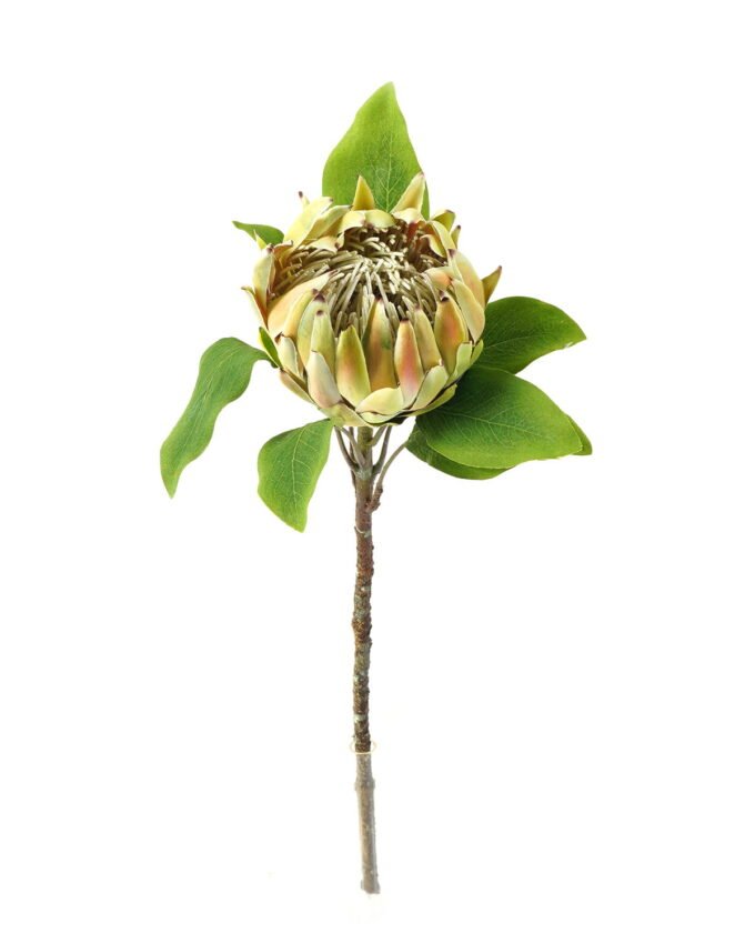 Artificial Flower Protea cynaroides single stem GS-27923003_3 Artificial Flower 22*22*63cm Protea cynaroides single stem GS-27923003 Single Flowers YeahFlower is one of Chinese leading OEM manufacturers and exporters , supplying the silk flowers, wholesale artificial trees