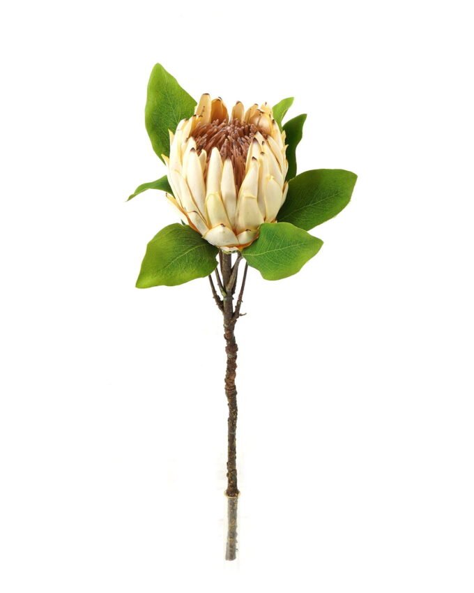 Artificial Flower Protea cynaroides single stem GS-27923003_4 Artificial Flower 22*22*63cm Protea cynaroides single stem GS-27923003 Single Flowers YeahFlower is one of Chinese leading OEM manufacturers and exporters , supplying the silk flowers, wholesale artificial trees