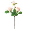 Artificial Flower Rose 3 single stem GS-27923004-P1_1 Artificial Flower 22*22*62cm Rose *3 single stem GS-27923004-P1 Single Flowers YeahFlower is one of Chinese leading OEM manufacturers and exporters , supplying the silk flowers, wholesale artificial trees