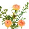 Artificial Flower 13*8*15cm Rose in glass ware GS-16823028 Potted Flowers&Plants YeahFlower is one of Chinese leading OEM manufacturers and exporters , supplying the silk flowers, wholesale artificial trees
