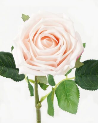 Artificial Flower 15*15*43cm Rose moist real touch single stem GS-46123002-P4 Single Flowers YeahFlower is one of Chinese leading OEM manufacturers and exporters , supplying the silk flowers, wholesale artificial trees Artificial Flower 15*15*43cm Rose moist real touch single stem GS-46123002-P4 Single Flowers YeahFlower is one of Chinese leading OEM manufacturers and exporters , supplying the silk flowers, wholesale artificial trees