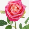 Artificial Flower Rose moist real touch single stem GS-46123002_2 Artificial Flower 15*15*43cm Rose moist real touch single stem GS-46123002 Single Flowers YeahFlower is one of Chinese leading OEM manufacturers and exporters , supplying the silk flowers, wholesale artificial trees