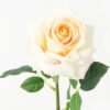 Artificial Flower Rose moist real touch single stem GS-46123006-C1_9 Artificial Flower 16*16*43cm Rose moist real touch single stem GS-46123006-C1 Single Flowers YeahFlower is one of Chinese leading OEM manufacturers and exporters , supplying the silk flowers, wholesale artificial trees