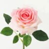 Artificial Flower Rose moist real touch single stem GS-46123006_2 Artificial Flower 16*16*43cm Rose moist real touch single stem GS-46123006 Single Flowers YeahFlower is one of Chinese leading OEM manufacturers and exporters , supplying the silk flowers, wholesale artificial trees