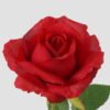 Artificial Flower 10*51cm Rose single stem GS-128J23001KIK-R1 Single Flowers YeahFlower is one of Chinese leading OEM manufacturers and exporters , supplying the silk flowers, wholesale artificial trees