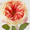 Artificial Flower 17*17*66cm Rose single stem GS-128J23004 Single Flowers YeahFlower is one of Chinese leading OEM manufacturers and exporters , supplying the silk flowers, wholesale artificial trees