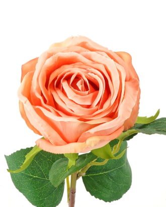 Artificial Flower 12*12*45cm Rose single stem GS-27923005 Single Flowers YeahFlower is one of Chinese leading OEM manufacturers and exporters , supplying the silk flowers, wholesale artificial trees
