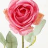Artificial Flower Rose single stem GS-58823009-P2_1 Artificial Flower 10*10*54cm Rose single stem GS-58823009-P2 Single Flowers YeahFlower is one of Chinese leading OEM manufacturers and exporters , supplying the silk flowers, wholesale artificial trees