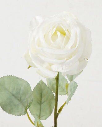 Artificial Flower 10*10*54cm Rose single stem GS-58823009-W1 Single Flowers YeahFlower is one of Chinese leading OEM manufacturers and exporters , supplying the silk flowers, wholesale artificial trees Artificial Flower 10*10*54cm Rose single stem GS-58823009-W1 Single Flowers YeahFlower is one of Chinese leading OEM manufacturers and exporters , supplying the silk flowers, wholesale artificial trees