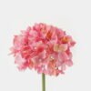 Artificial Flower Snowball single stem GS-58823015-P2_2 Artificial Flower 19*19*49cm Snowball single stem GS-58823015-P2 Single Flowers YeahFlower is one of Chinese leading OEM manufacturers and exporters , supplying the silk flowers, wholesale artificial trees