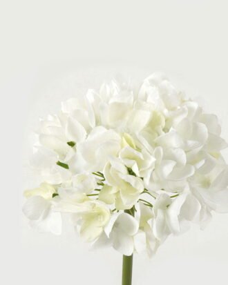 Artificial Flower 19*19*49cm Snowball single stem GS-58823015-W1 Single Flowers YeahFlower is one of Chinese leading OEM manufacturers and exporters , supplying the silk flowers, wholesale artificial trees