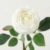 Artificial Flower Tea rose moist real touch single stem GS-46123005-W1_1 Artificial Flower 18*18*42cm Tea rose moist real touch single stem GS-46123005-W1 Single Flowers YeahFlower is one of Chinese leading OEM manufacturers and exporters , supplying the silk flowers, wholesale artificial trees
