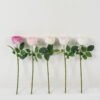 Artificial Flower 18*18*42cm Tea rose moist real touch single stem GS-46123005 Single Flowers YeahFlower is one of Chinese leading OEM manufacturers and exporters , supplying the silk flowers, wholesale artificial trees