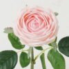 Artificial Flower 18*18*42cm Tea rose moist real touch single stem GS-46123005 Single Flowers YeahFlower is one of Chinese leading OEM manufacturers and exporters , supplying the silk flowers, wholesale artificial trees