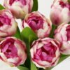Artificial Flower 16*16*40cm Tulipa *7 bundle GS-128J23013-P2 Bouquet YeahFlower is one of Chinese leading OEM manufacturers and exporters , supplying the silk flowers, wholesale artificial trees