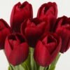 Artificial Flower 12*12*32cm Tulipa *7 bundle GS-128J23015-R1 Bouquet YeahFlower is one of Chinese leading OEM manufacturers and exporters , supplying the silk flowers, wholesale artificial trees