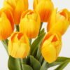 Artificial Flower Tulipa 7 bundle GS-128J23015-Y1_6 Artificial Flower 12*12*32cm Tulipa *7 bundle GS-128J23015-Y1 Bouquet YeahFlower is one of Chinese leading OEM manufacturers and exporters , supplying the silk flowers, wholesale artificial trees