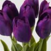 Artificial Flower Tulipa 7 bundle GS-128J23016-Z1_6 Artificial Flower 14*14*33cm Tulipa *7 bundle GS-128J23016-Z1 Bouquet YeahFlower is one of Chinese leading OEM manufacturers and exporters , supplying the silk flowers, wholesale artificial trees