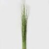 Artificial Grass 22*22*110cm Barrel grass GS-45723002KIK Grass&PLANT YeahFlower is one of Chinese leading OEM manufacturers and exporters , supplying the silk flowers, wholesale artificial trees