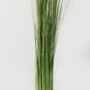 Artificial Grass 22*22*110cm Barrel grass GS-45723002KIK Grass&PLANT YeahFlower is one of Chinese leading OEM manufacturers and exporters , supplying the silk flowers, wholesale artificial trees