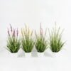 Artificial Grass Bellflower grass 5 in PP pot GS-29423005_1 Artificial Grass 65*65*92cm Bellflower grass *5 in PP pot GS-29423005 Grass&PLANT YeahFlower is one of Chinese leading OEM manufacturers and exporters , supplying the silk flowers, wholesale artificial trees