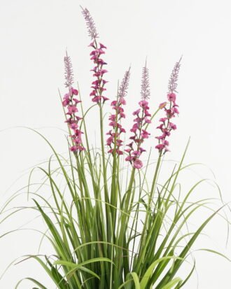 Artificial Grass 65*65*92cm Bellflower grass *5 in PP pot GS-29423005 Grass&PLANT YeahFlower is one of Chinese leading OEM manufacturers and exporters , supplying the silk flowers, wholesale artificial trees