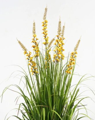 Artificial Grass 60*60*100cm Bellflower grass *7 in PP pot GS-29423004-Y1 Grass&PLANT YeahFlower is one of Chinese leading OEM manufacturers and exporters , supplying the silk flowers, wholesale artificial trees