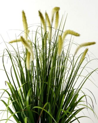 Artificial Grass 70*70*90cm Green bristlegrass *15 in PP pot GS-29423025 Grass&PLANT YeahFlower is one of Chinese leading OEM manufacturers and exporters , supplying the silk flowers, wholesale artificial trees